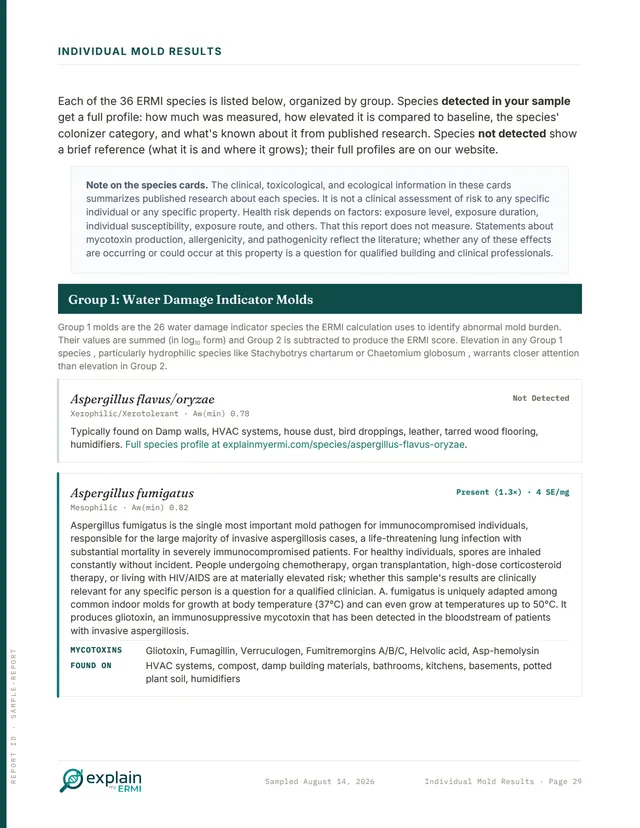 Individual Mold Results page opening the Group 1 water damage indicator molds, with per-species cards